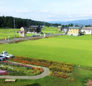 Nonohanakan