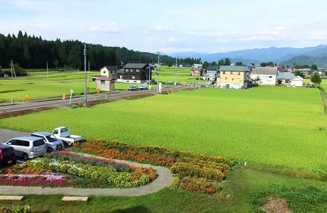 Nonohanakan
