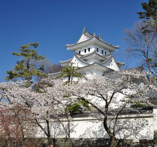 Ogaki Park