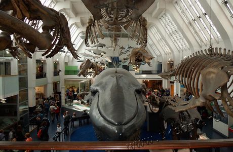 Wara History Museum