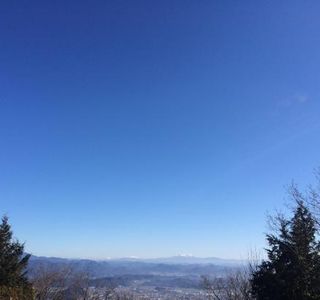Mt. Dodogamine