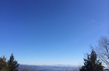Mt. Dodogamine