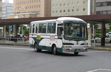 Mie Kotsu