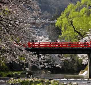 Nakabashi Bridge