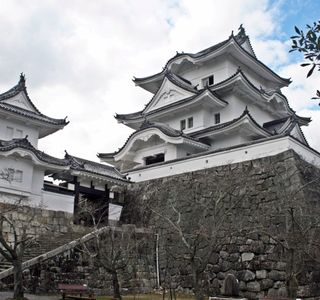 Iga Ueno Castle