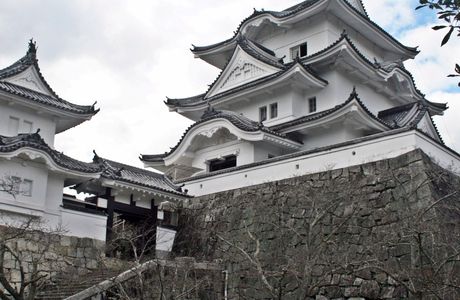 Iga Ueno Castle