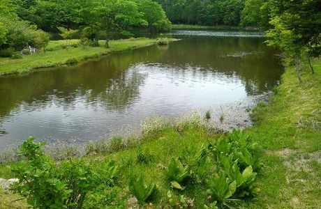 Lake Dando