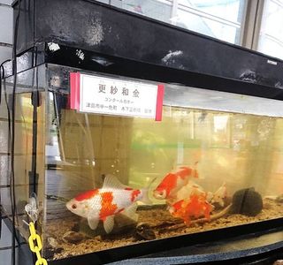 Tsushima Kids Science Museum