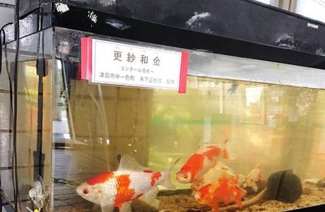 Tsushima Kids Science Museum