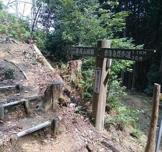 Bodaisan Castle Ruins