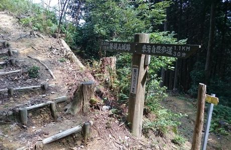 Bodaisan Castle Ruins