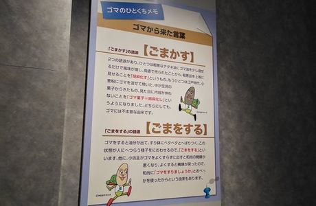 Goma no Sato