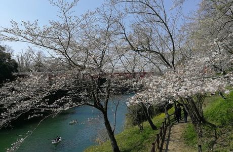 Sakurabuchi Park