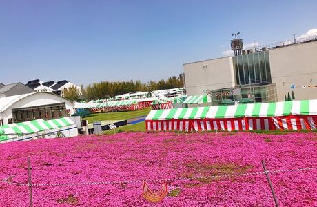 Kirishima Wolk Factory