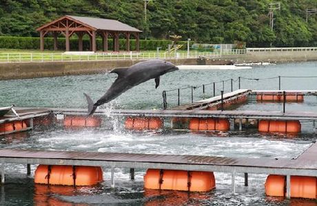 Iki Iruka Park & Resort