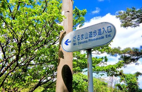 Daruma Forest Road