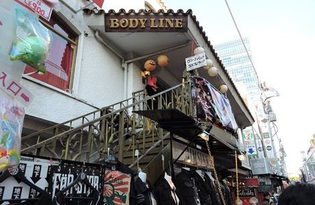 mipig cafe Harajuku