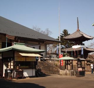 Sayama Fudoson