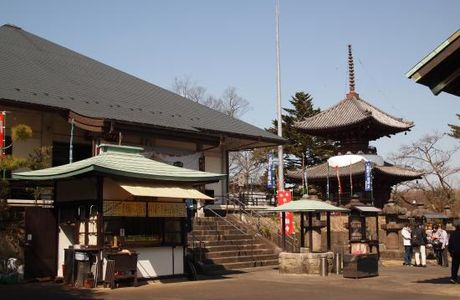 Sayama Fudoson