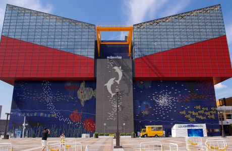 Osaka Aquarium Kaiyukan
