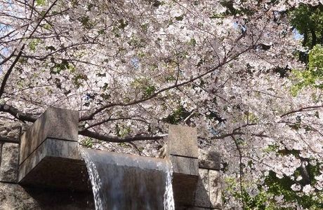 Gotenyama Garden