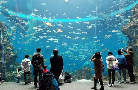 Shinagawa Aquarium