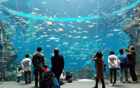 Shinagawa Aquarium 1