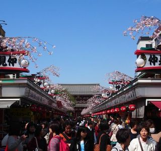 Asakusa Kirara