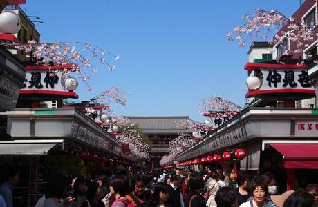 Asakusa Kirara