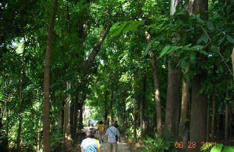 Center for Tropical Studies (CENTROP)