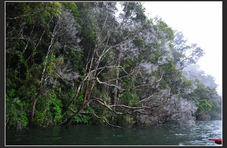 Twin Lakes of Balinsasayao & Danao