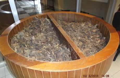 Museo del Tabaco Caguas
