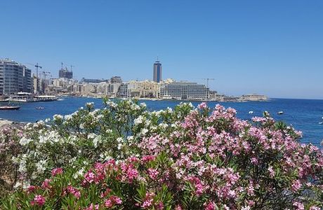 Independence gardens