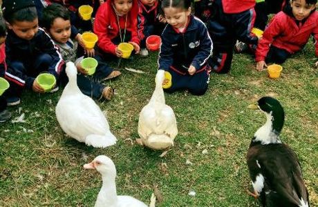 La Granja de los Ninos