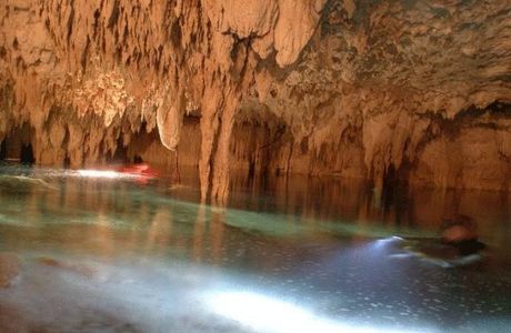 The Cave NZ