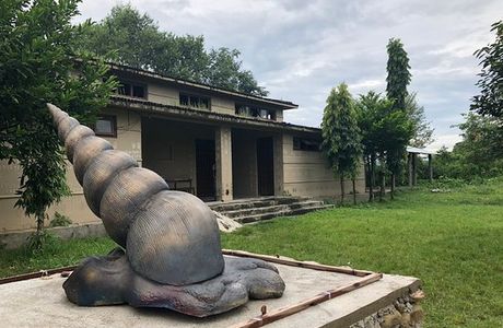 Tharu Cultural Museum and Research Center