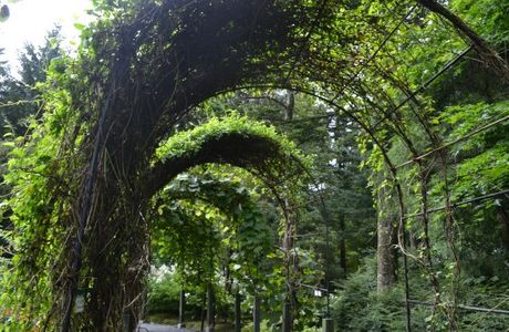 Manabe Garden