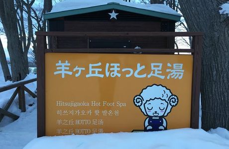 Sapporo Hitsujigaoka Observation Platform