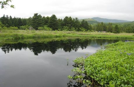 Minamihama Wetland