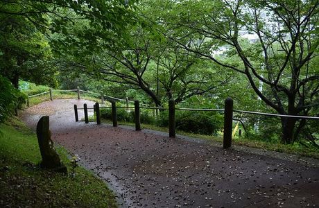 Kannonyama Park