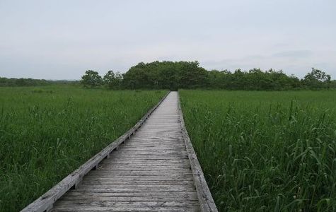 Onnenai Boardwalk 1