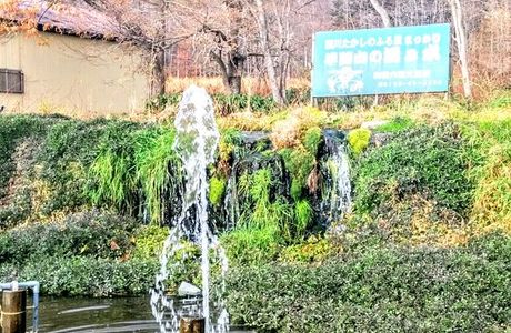 Mt. Yotei Spring Water