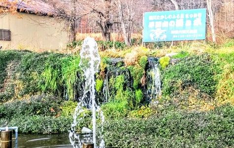 Mt. Yotei Spring Water 1
