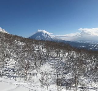 Niseko Winterlab