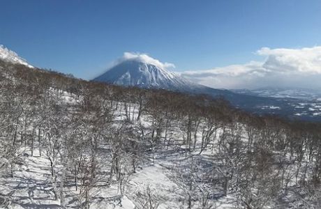 Niseko Winterlab