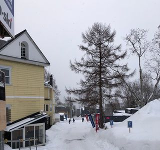 Niseko Village Snow School