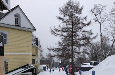 Niseko Village Snow School