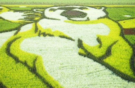 Tambo Art