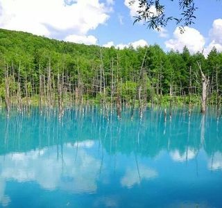 Shirogane Blue Pond