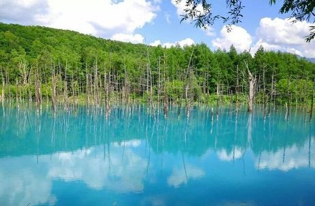 Shirogane Blue Pond
